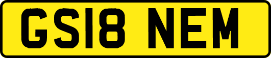 GS18NEM