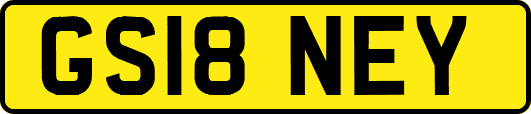 GS18NEY