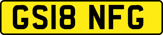 GS18NFG
