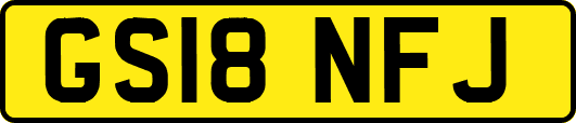 GS18NFJ