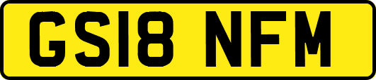 GS18NFM