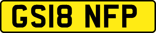 GS18NFP