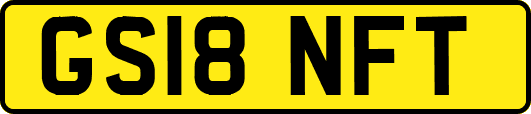 GS18NFT