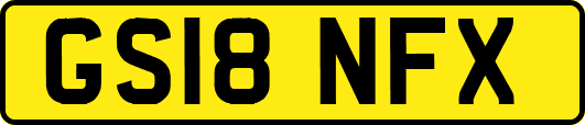 GS18NFX