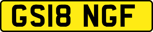 GS18NGF
