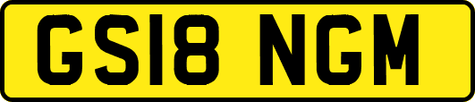 GS18NGM