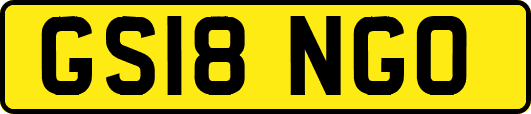 GS18NGO