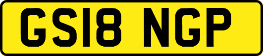 GS18NGP