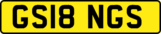 GS18NGS