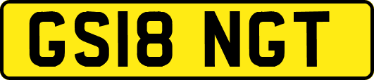 GS18NGT