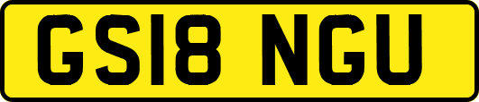 GS18NGU