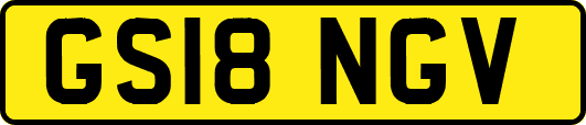 GS18NGV
