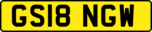 GS18NGW