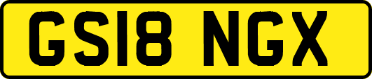 GS18NGX