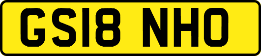 GS18NHO