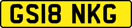 GS18NKG