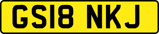 GS18NKJ