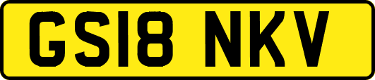 GS18NKV