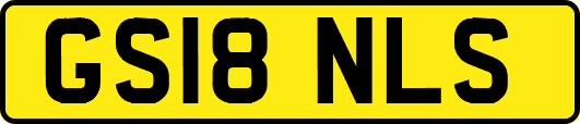 GS18NLS