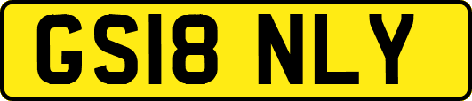 GS18NLY