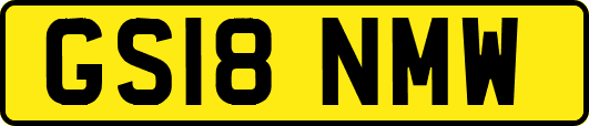 GS18NMW