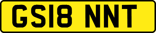 GS18NNT