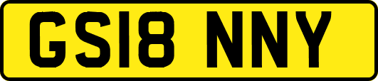 GS18NNY