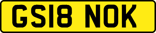 GS18NOK
