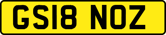 GS18NOZ