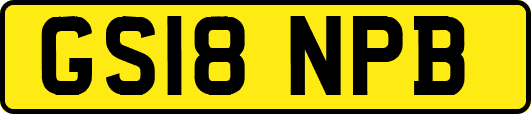 GS18NPB