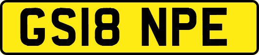 GS18NPE