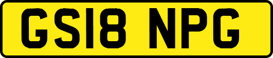 GS18NPG