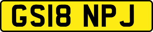 GS18NPJ
