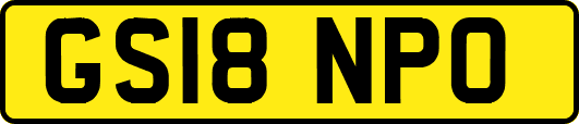 GS18NPO