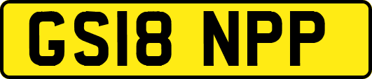 GS18NPP
