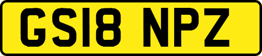 GS18NPZ