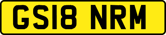 GS18NRM