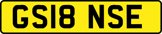 GS18NSE