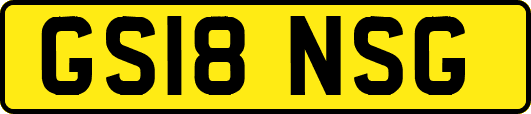 GS18NSG
