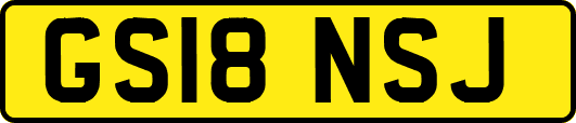 GS18NSJ