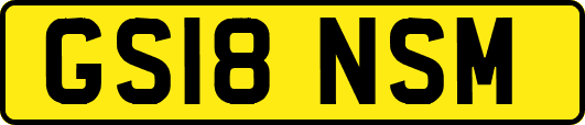 GS18NSM