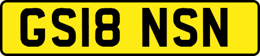 GS18NSN