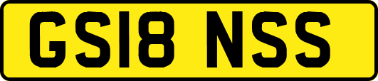 GS18NSS