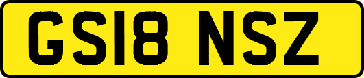 GS18NSZ