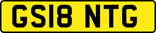 GS18NTG