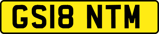 GS18NTM
