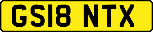 GS18NTX
