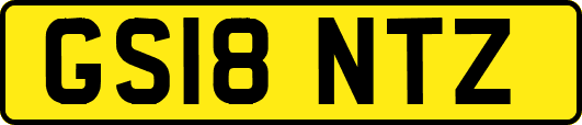 GS18NTZ
