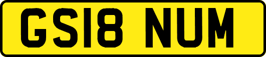 GS18NUM