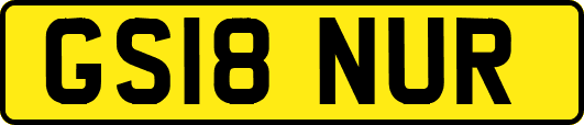 GS18NUR
